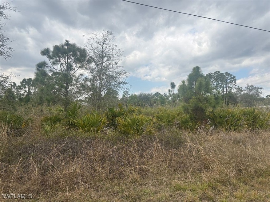 View of local wilderness