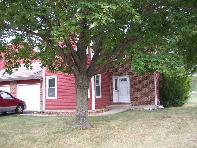 513 Fessler Ave unit 1, Naperville, IL 60565 - photo 1