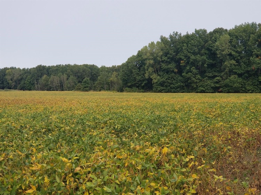 1 W 1000 N, Pines, IN 46360 - photo 1