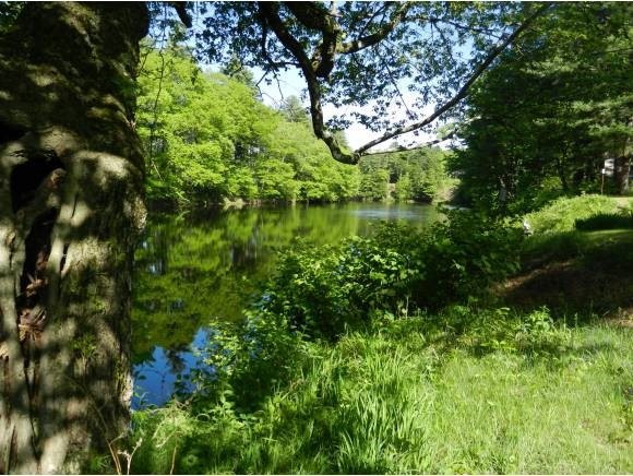 393 Little Tooky Rd, Contoocook, NH 03229 - photo 1