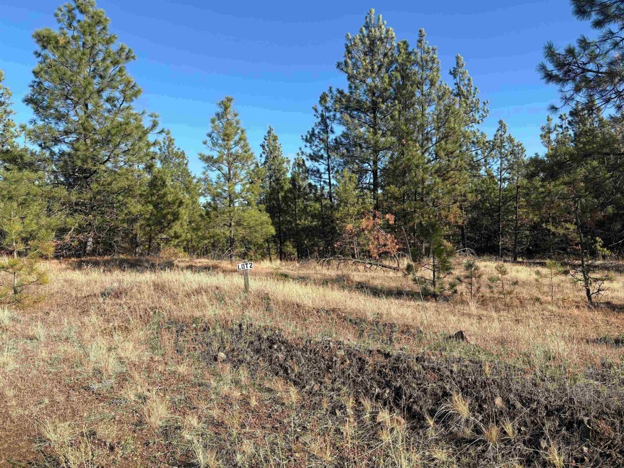 35450 Prairie Ln N unit Lot 2, Creston, WA 99117 - photo 1
