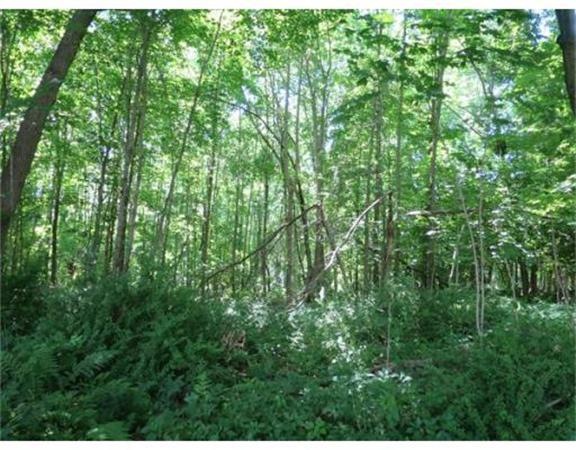 00 Moulton Hill Rd, Monson, MA 01057 - photo 1