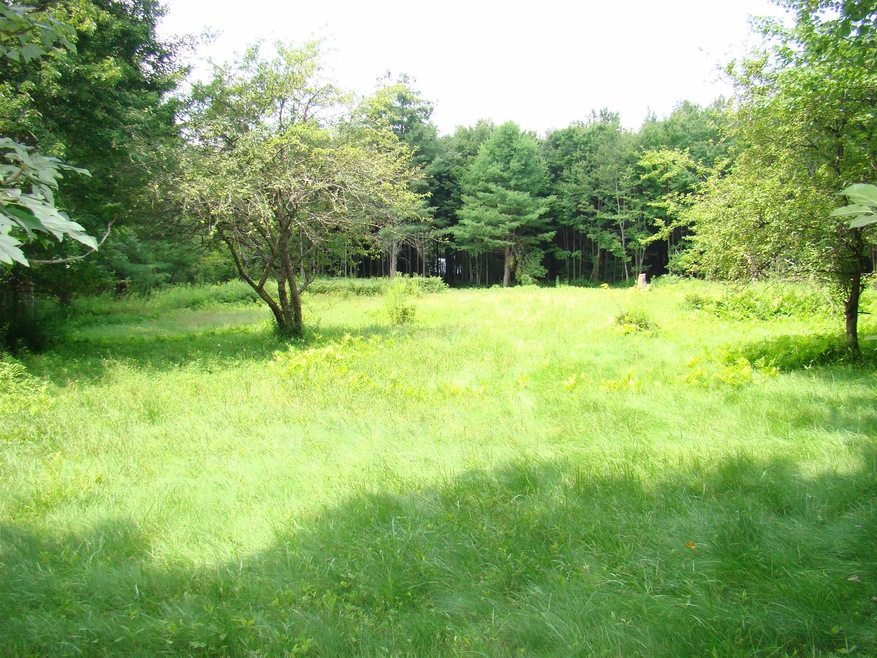 5 Poverty Row, Whitingham, VT 05361 - photo 1