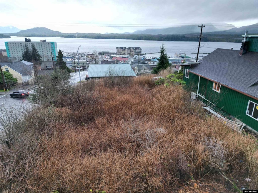 Lot 1, Block 16 3rd Ave, Ketchikan, AK 99901 - photo 1