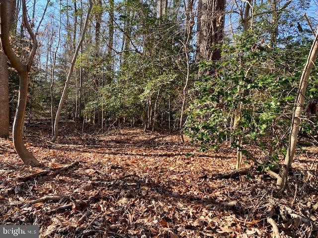 LOT# 156 N Independence Dr, Montross, VA 22520 - photo 1