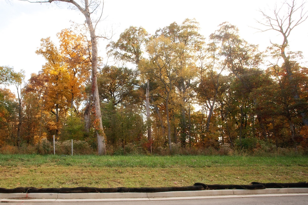 3975 166th Ln, Lowell, IN 46356 - photo 1