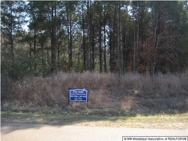 Primary Photo