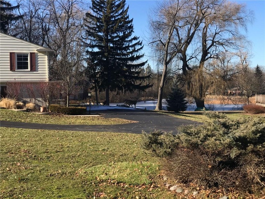 4364 Pine Tree Trail, Bloomfield Hills, MI 48302 - photo 1