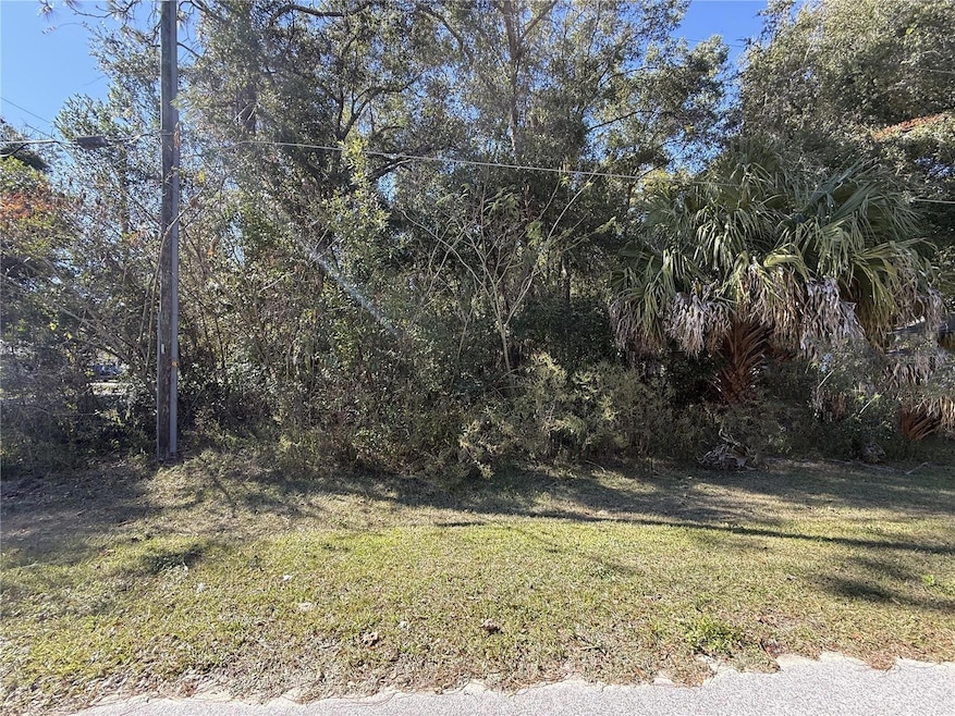 TBD SW 78th St, Ocala, FL 34476 - photo 1