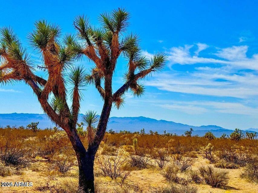 20241105064658790642000000-o