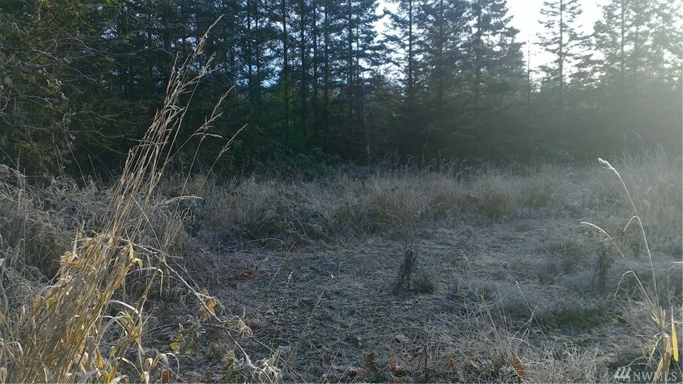 0 Talbott Rd unit 1228108, Mossyrock, WA 98582 - photo 1