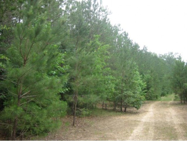 0 Deer Run Rd, Nacogdoches, TX 75964 - photo 1