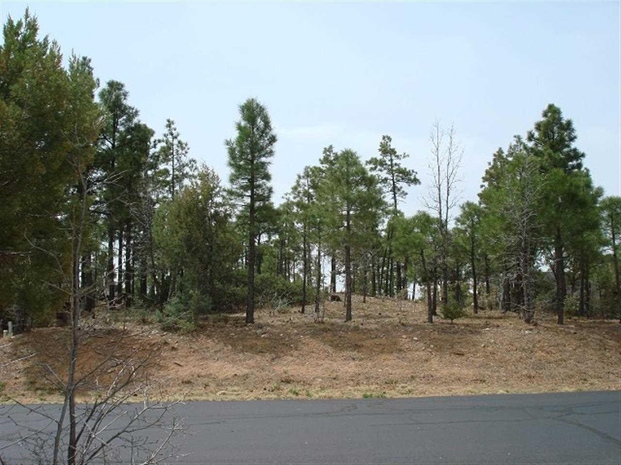 1161 E Pine Oaks, Show Low, AZ 85901 - photo 1