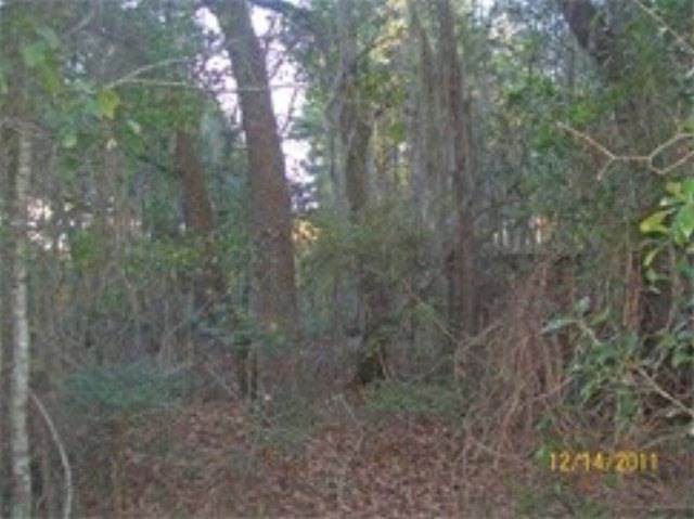 0 Sandy Flat Rd, Douglas, GA 31533 - photo 1