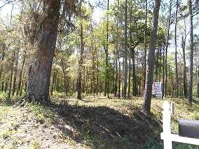xxx Harvey Mill Rd, Crawfordville, FL 32327 - photo 1