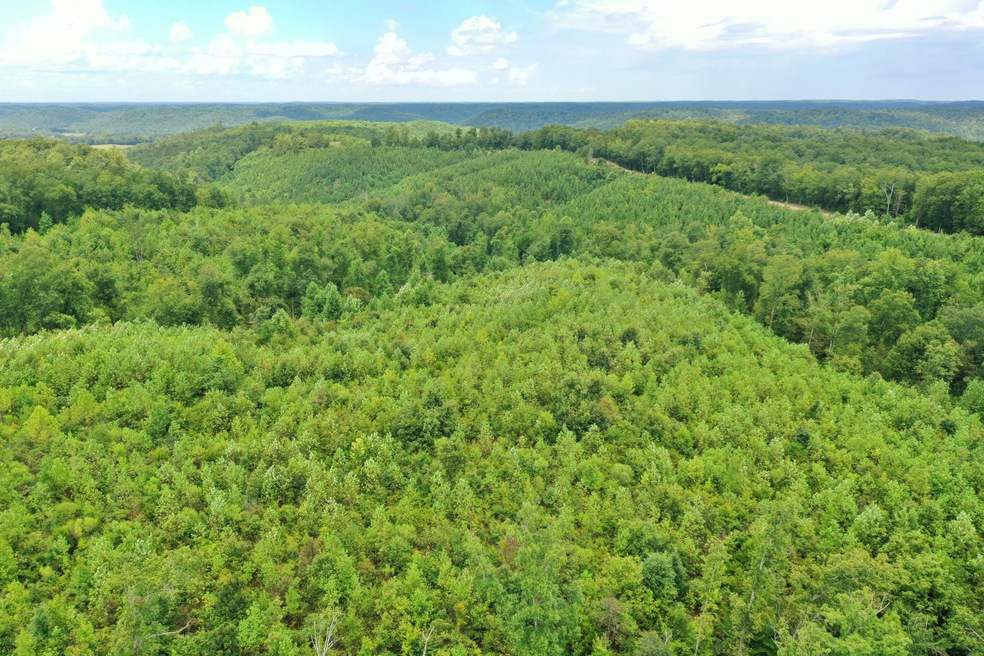 0 Highway 128 unit 2183113, Linden, TN 37096 - photo 1