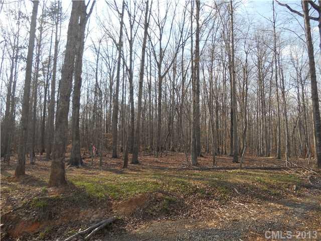 Exterior Front - Heavily Wooded 2.71 Acre Lot!