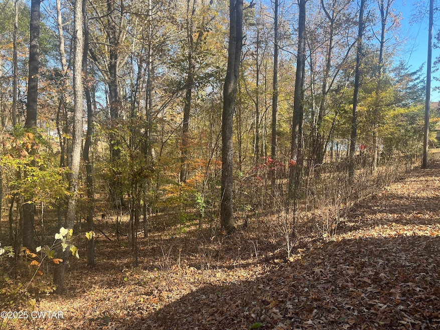 Lot 171 Indian Park 7