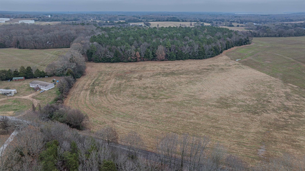 0 Cooper Ln unit 526079, Rogersville, AL 35652 - photo 1