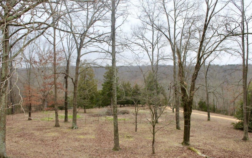 Amazing views. This is from the front porch of the house