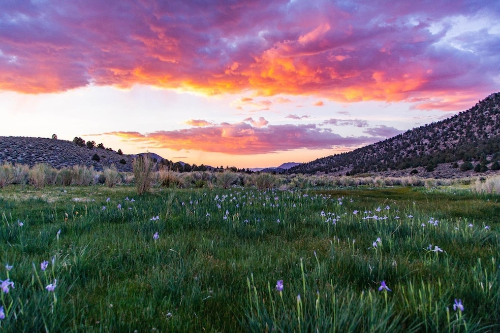 0 Benton Crossing Rd unit 5 250573, Benton, CA 93512 - photo 1