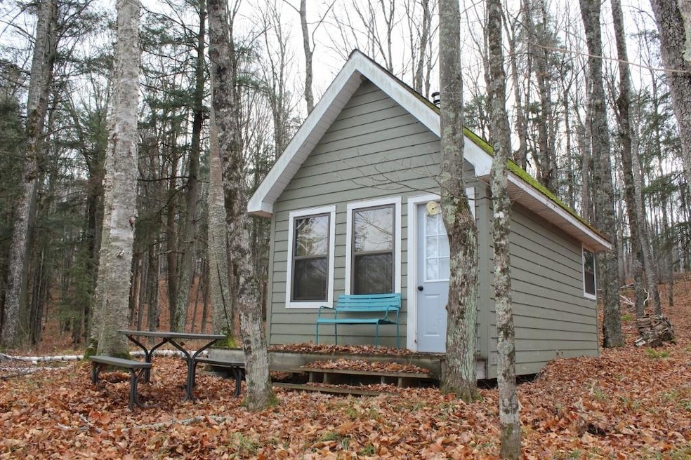 762 Moonlight Ln, Blackwell, WI 54103 - photo 1