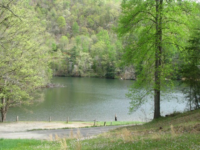 Main View