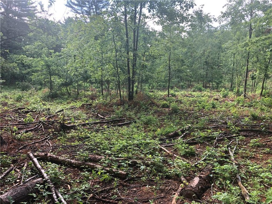 building site partially cleared