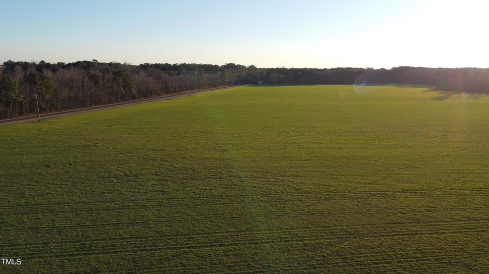 DJI_0667
