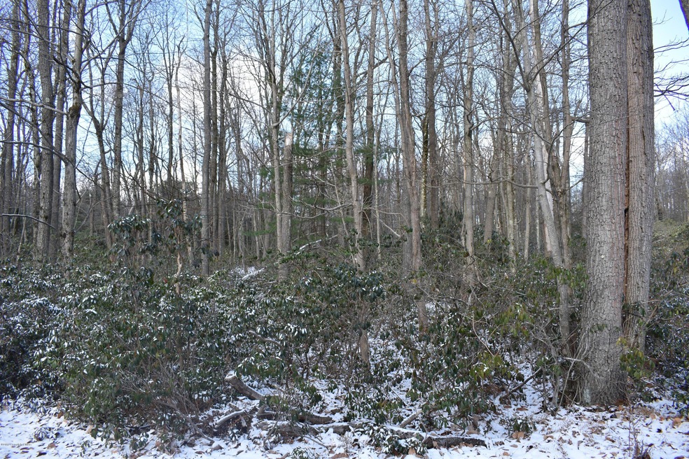 LOT E445 Susquehanna Drive & Choctaw Rd, Jim Thorpe, PA 18229 - photo 1