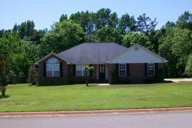 Main View