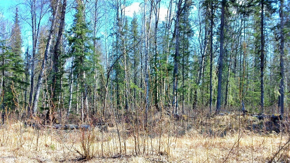 Streetview 1