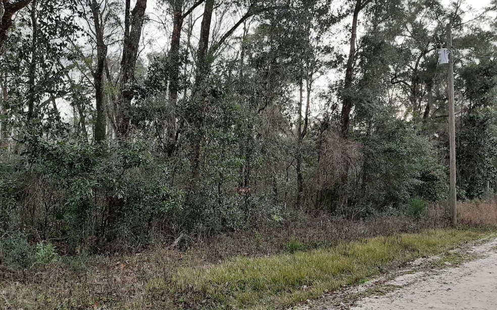 LT 12 288th Terrace, Branford, FL 32008 - photo 1