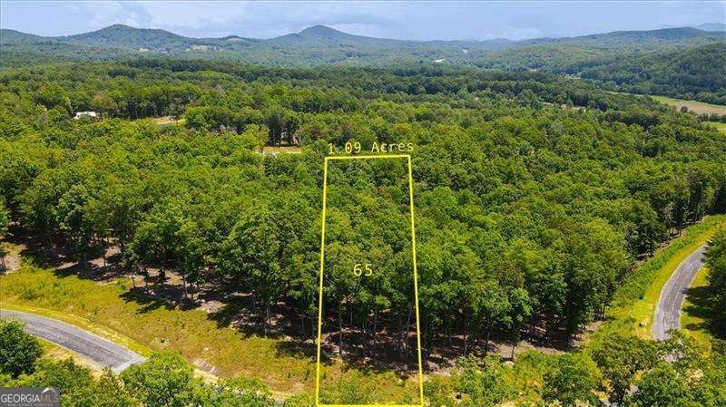 0 Ridge Dr unit LOT 65 10593090, Morganton, GA 30560 - photo 1
