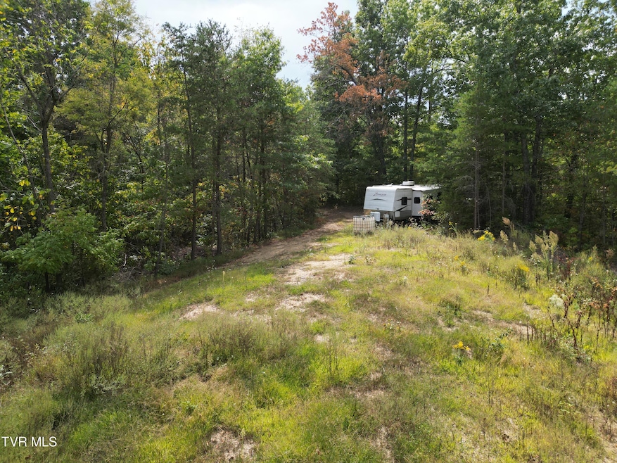 DJI_0560