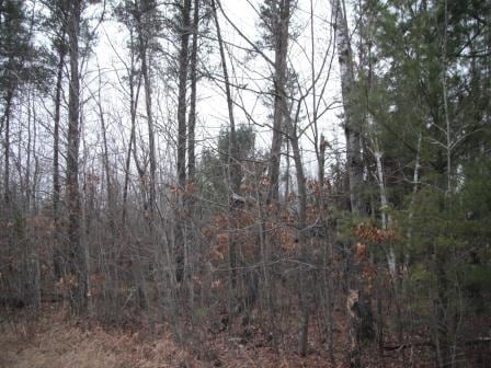 28747 Eastman Rd, Danbury, WI 54830 - photo 1