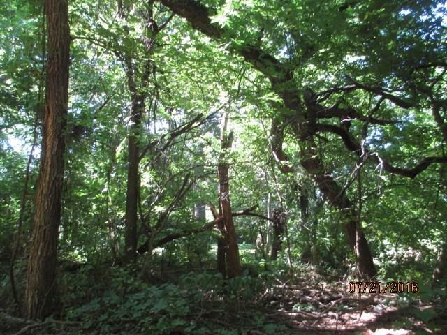 2722 Rambling Rd, Edmond, OK 73025 - photo 1