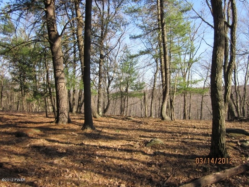 50 Song Mtn Dr, Tafton, PA 18464 - photo 1