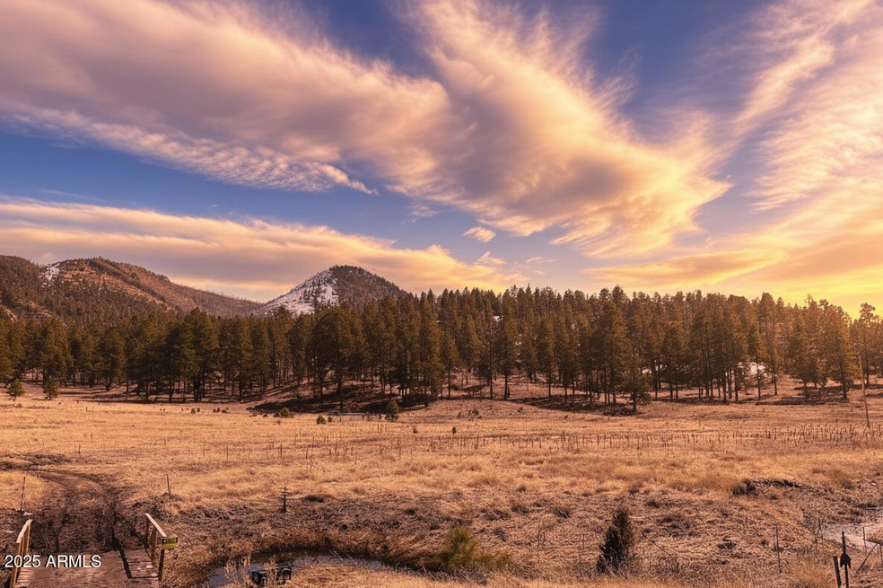 -- Country Road 2276 -- unit 2, Nutrioso, AZ 85932 - photo 1