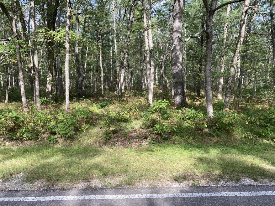 PAR 6 Cleveland Dr W, Lilley Township, MI 49309 - photo 1