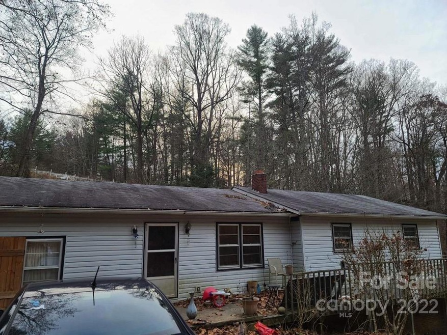 170 Dale Earnhardt Dr, Burnsville, NC 28714 - photo 1