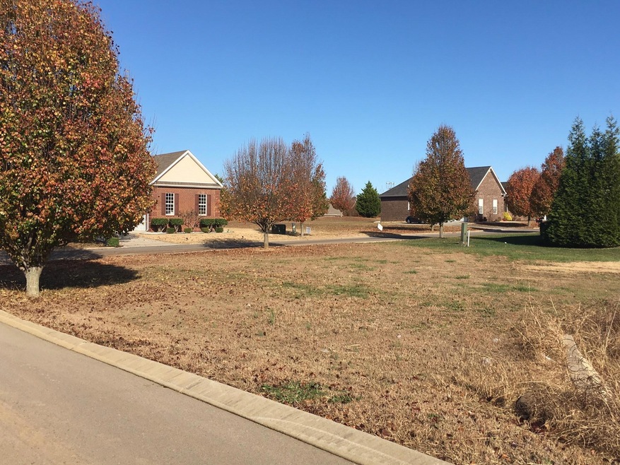 101 Wills Valley Dr, Shelbyville, TN 37160 - photo 1