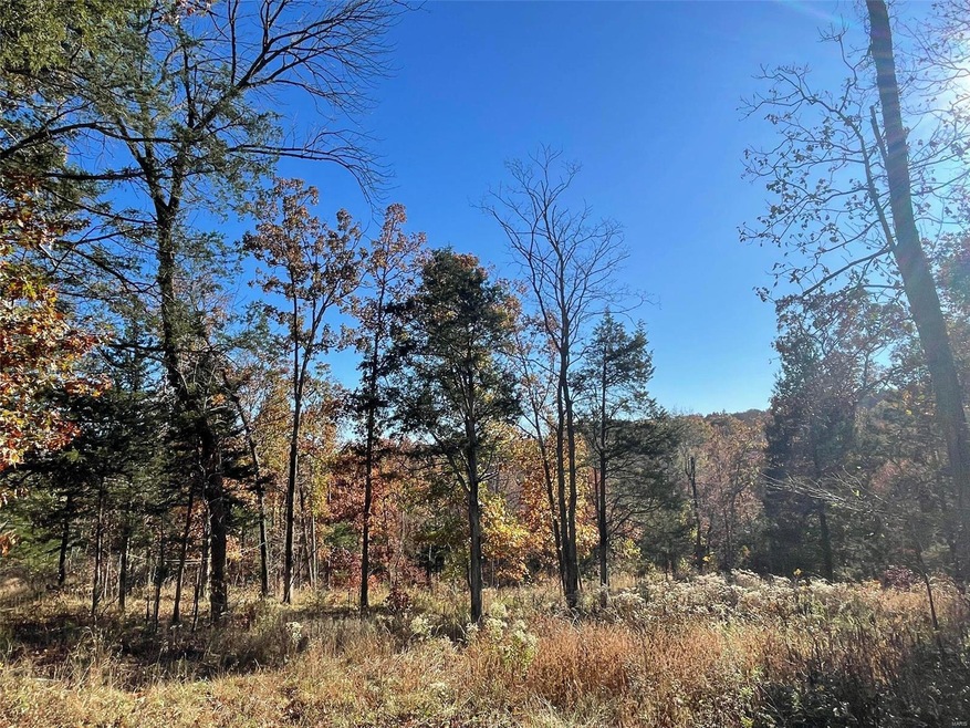 108 Calvey Estates Dr, Robertsville, MO 63072 - photo 1