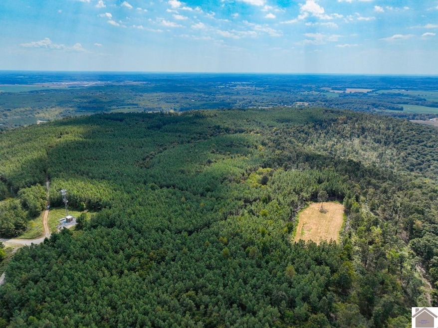 000 State Route 1433 unit Lookout Tower Ro, Salem, KY 42078 - photo 1