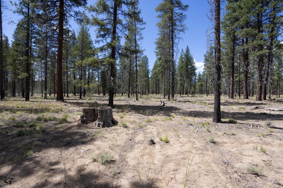 Caldera Homesite