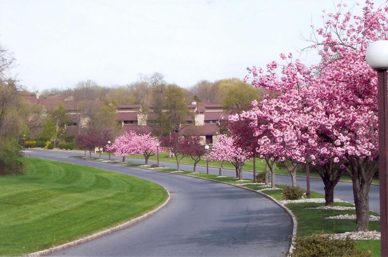 37 Hillside Ct unit 1011A, Clinton, NJ 08809 - photo 1