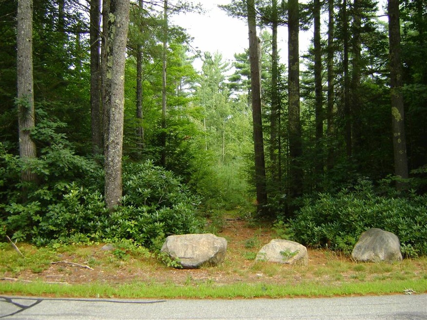 00 States Landing Rd unit 77, Moultonborough, NH 03254 - photo 1