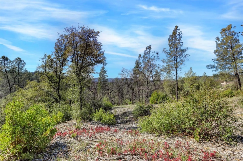 10530 Grubstake Trail, Rough and Ready, CA 95975 - photo 1