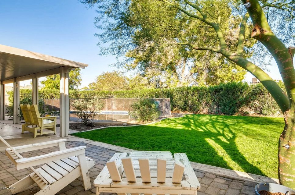 Wonderful backyard