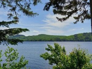 Lake view - Copy